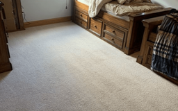 Top Carpet Cleaning in Newton
