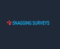 Snagging Surveys