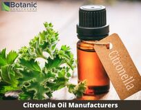 Citronella Oil Manufacturers