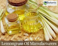 Lemongrass Oil Manufacturers