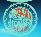 Belize's Tranquil Tropical Island Sanctuary | Iguana House Belize