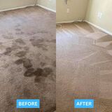 San Jose's Trusted Residential Carpet Cleaning Experts