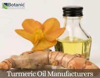 Turmeric Oil Manufacturers