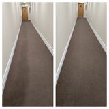 Excellent Carpet Cleaning in Sherman Oaks
