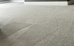 Top-Notch Carpet Cleaning in Studio City