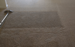 Quick and Reliable Carpet Cleaning in Centennial CO