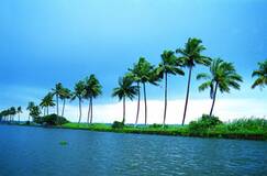 Kerala Tour Packages offered by Swan Tours - Book Now!