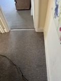 Restoring Carpets in Wembley HA0