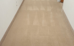 Exceptional Carpet Cleaning in Parker CO