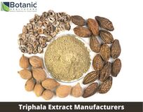 Triphala Extract Manufacturers