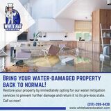 Expert Water Mitigation Services In Indianapolis IN