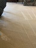 Precisely Cleaning Carpets in Paso Robles CA