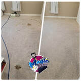 Precision Carpet Cleaning in Parker CO