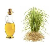 Vetiver Oil Suppliers