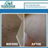 Professional Carpet Cleaning Services Concord, CA