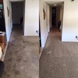 Cleaning Carpets with Care in Cape Coral FL