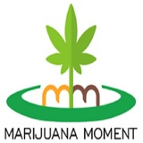 CBD latest news USA - Marijuana Moment
