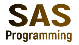 SAS ProgrammingOnline Training Certification Course In India