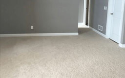 Eco-Conscious Carpet Cleaning in Highlands Ranch CO