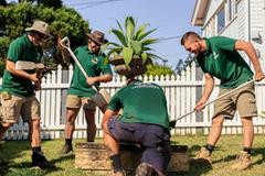 Top Brisbane Landscaping Maintenance Services