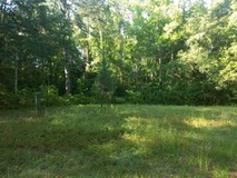 6 Acres - Rent To Own - No Banks Needed - Bad Credit OK