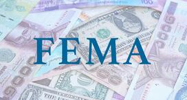 Experienced FEMA Consultants