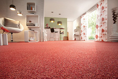 Elevate Your Event with Stunning Red Carpets