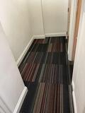 Transforming Notting Hill with professional carpet cleaning