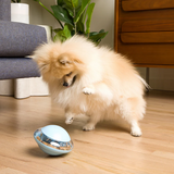 Shop Online Treat Tumbler for Your Dogs | McLovins Pet