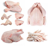 Frozen chicken feet for sale | Frozen Chicken Paws Top-Quality Halal Brazil Halal Frozen Chicken Suppliers
