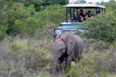 A Once In A Lifetime With Tours And Safaris To Africa