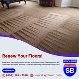 Professional Carpet Cleaning In Paso Robles CA
