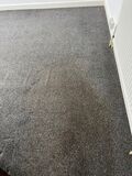 Your Trusted Partner for Clean Carpets in Pinner HA5!