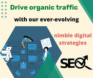 Drive organic traffic with our ever-evolving nimble digital strategies