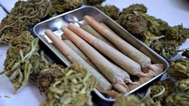 Latest CBD Studies USA - Marijuana Moment