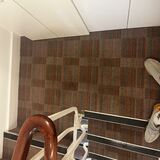 Unmatched Carpet Cleaning Excellence in South West London