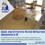 Reliable Water Mitigation Services in Indianapolis IN