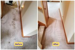 Top-Rated Carpet Cleaning in San Jose CA