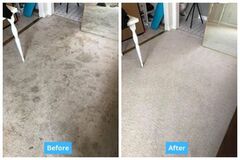 Carpet Cleaning Professionals in San Jose, CA!