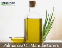 Palmarosa Oil Manufacturers