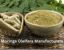 Moringa Oleifera Manufacturers