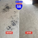 Top-Notch Carpet Cleaning in Paso Robles CA