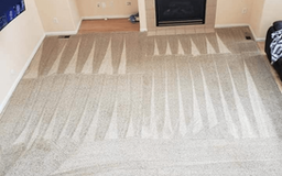 Professional Carpet Cleaning in Castle Rock CO