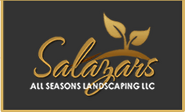 Beautiful Landscapes Crafted by Salazar's All Season Landscaping LLC in Mount Vernon