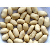 Top Blanched Peanuts Suppliers
