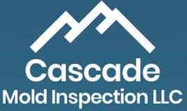 Trusted Mold Inspection Experts in Skagit County WA