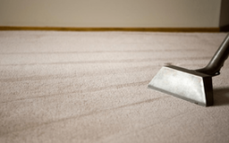 Top-Quality Carpet Cleaning in Parker CO