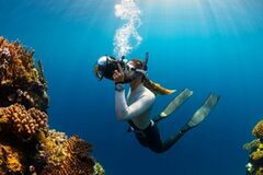 Explore Beneath: Unveil the PADI Open Water Adventure!