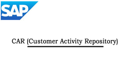 SAP CAR (Customer Activity Repository)Online Training Institute From India