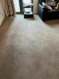 South East London's Carpet Cleaning Specialists!